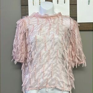 Cliche Blush Pink Sheer Cropped Mock Neck Blouse with Tassels and Tie- S/M